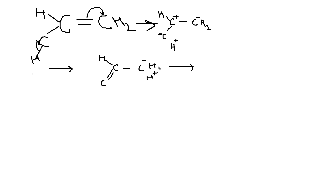 1872_25758_double bond.jpeg
